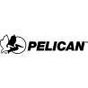 Pelican